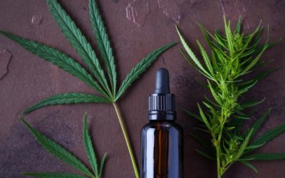 A Simple Guide to CBD Dosage