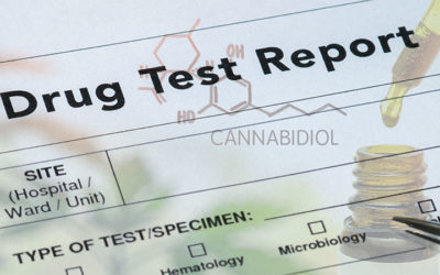 Will CBD show up on a drug test?